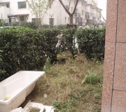 一樓陽(yáng)臺(tái)外面